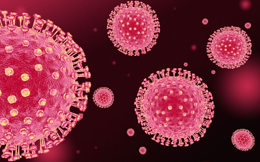 Coronavirus disease 2019 (COVID-19)