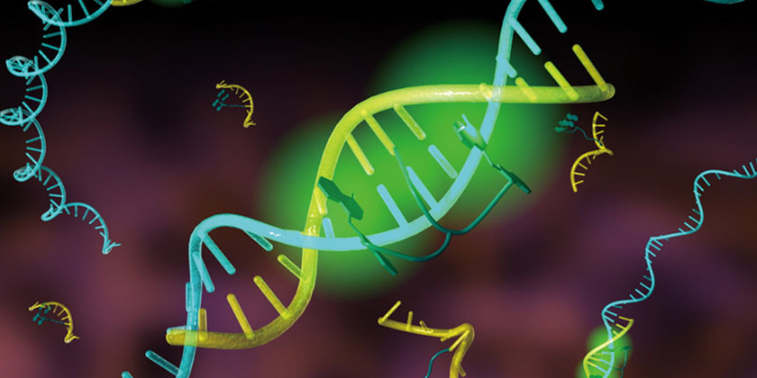 HCV RNA Real Time PCR